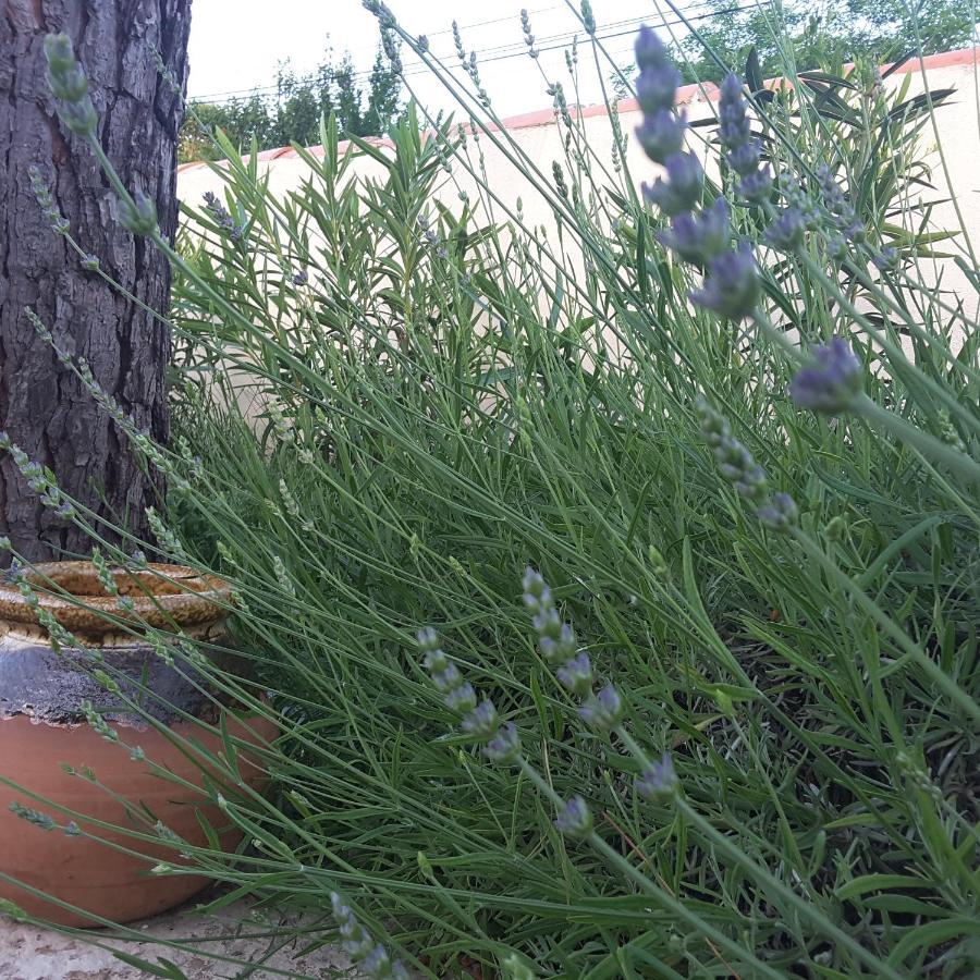 مبيت وإفطار Pourrieres Philoxenia المظهر الخارجي الصورة
